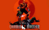 Shadow_warrior_34200525510pm897