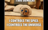 Dunecat