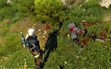 The_witcher_3_screenshot_2017-04-26_-_07-59-43-97