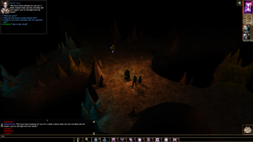 Neverwinter Nights - Neverwinter Nights: Hordes of the Underdark: Отступник. Изгнанник. Бард.