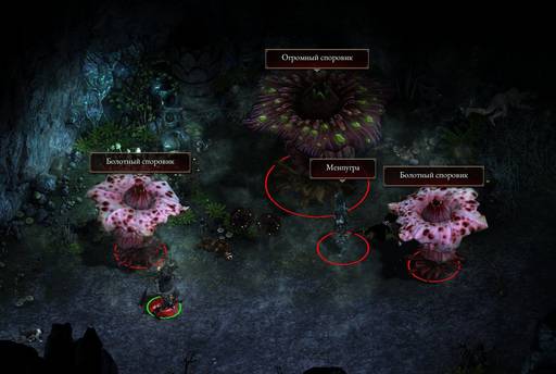 Pillars of Eternity - «Pillars of Eternity» - впечатления нуба (часть третья) Pillars of Eternity - «Pillars of Eternity» - впечатления нуба (часть третья)