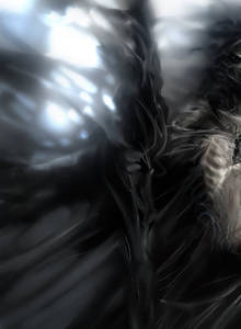 Desktopwallpapers-org-ua-16511