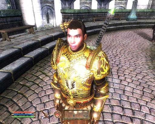 Elder Scrolls IV: Oblivion, The - FaceGen Modeller - Создай новое лицо