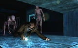 Silent-hill-shattered-memories-6-wii_003-jpg-html