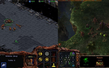 Starcraft_vergleich_8