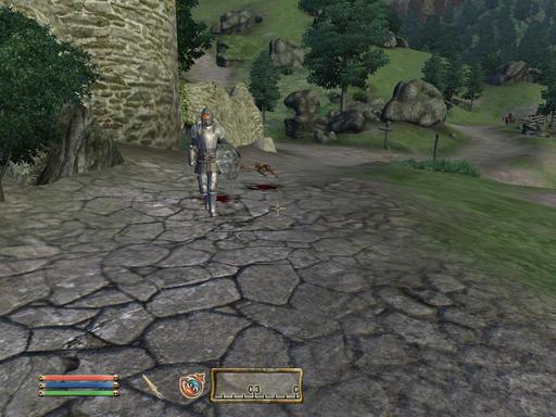 Elder Scrolls IV: Oblivion, The - Дневник имперского гастарбайтера. Том третий.