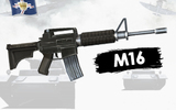 Royal-weapon-sale-m16_1_