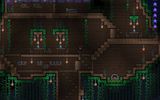 Terraria14