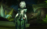 Sylvari-06