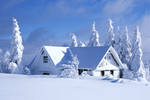 Winter-wallpaper-1366x768